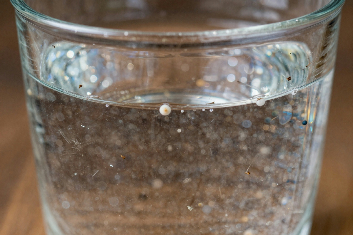 Indagare il futuro dell'acqua: perché le microplastiche preoccupano la nostra salute e il nostro piatto